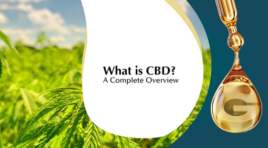 What is CBD? A Quick Look