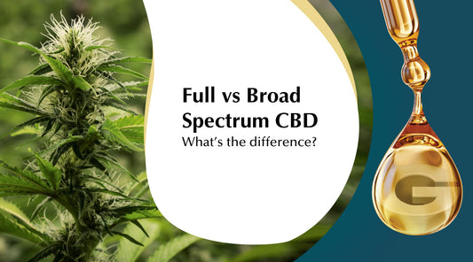 Full-Spectrum vs. Broad-Spectrum CBD - What's the difference?